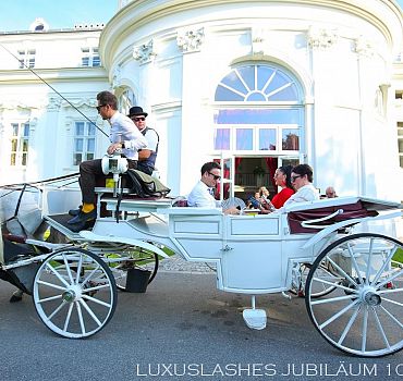 Luxuslashes, Jubiläum, Palais Schönburg , 