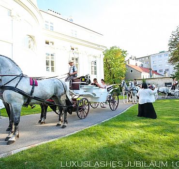 Luxuslashes, Jubiläum, Palais Schönburg , 
